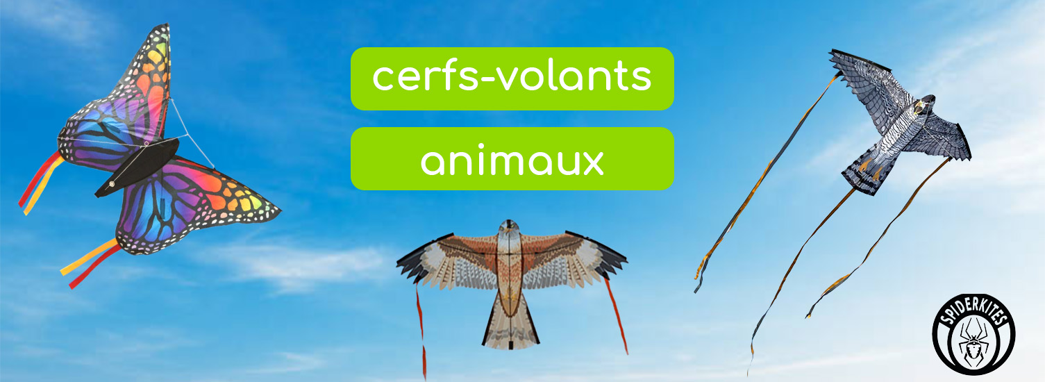 cerfs volants Animaux spiderkites